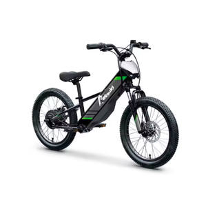 Mejores Ofertas para ELEKTRODES 20 RIDE, Motocicleta Eléctrica con Batería de Litio en el Buje Trasero, 21 Velocidades, Aleación de Aluminio - Product Image 3
