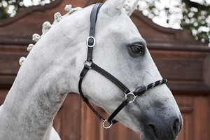 Licou en cuir de luxe avec muserolle en corde souple et rembourrage de couronne spécial Quick Snap Silver Hardware - Product Image 6