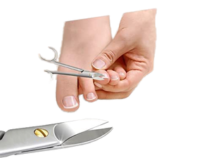 High Quality Professional <b>Foot</b> Nail Clippers Stainless Steel Toe Nail Scissor with Straight <b>Blade</b> Cuticle Scissor - Product Image 2