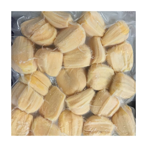 Jacquier congelé du Vietnam IQF a traité 100 pour cent de fruits naturels avec un arôme riche et une pulpe jaune vif - Product Image 5