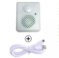 Repetidor de voz OEM personalizado para peluches, USB, audio, MP3, ordenador, el más vendido, 2023
