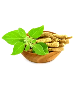 Withania Somnifera Ashwagandha Extracto en polvo 100% Natural Withanolide-Suplemento de hierbas rico de la India - Product Image 3