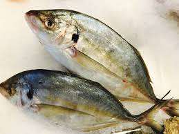 Pescado Trevally Congelado de Primera Calidad, Bajo en Sodio, Orgánico, Entero, en Venta - Product Image 2