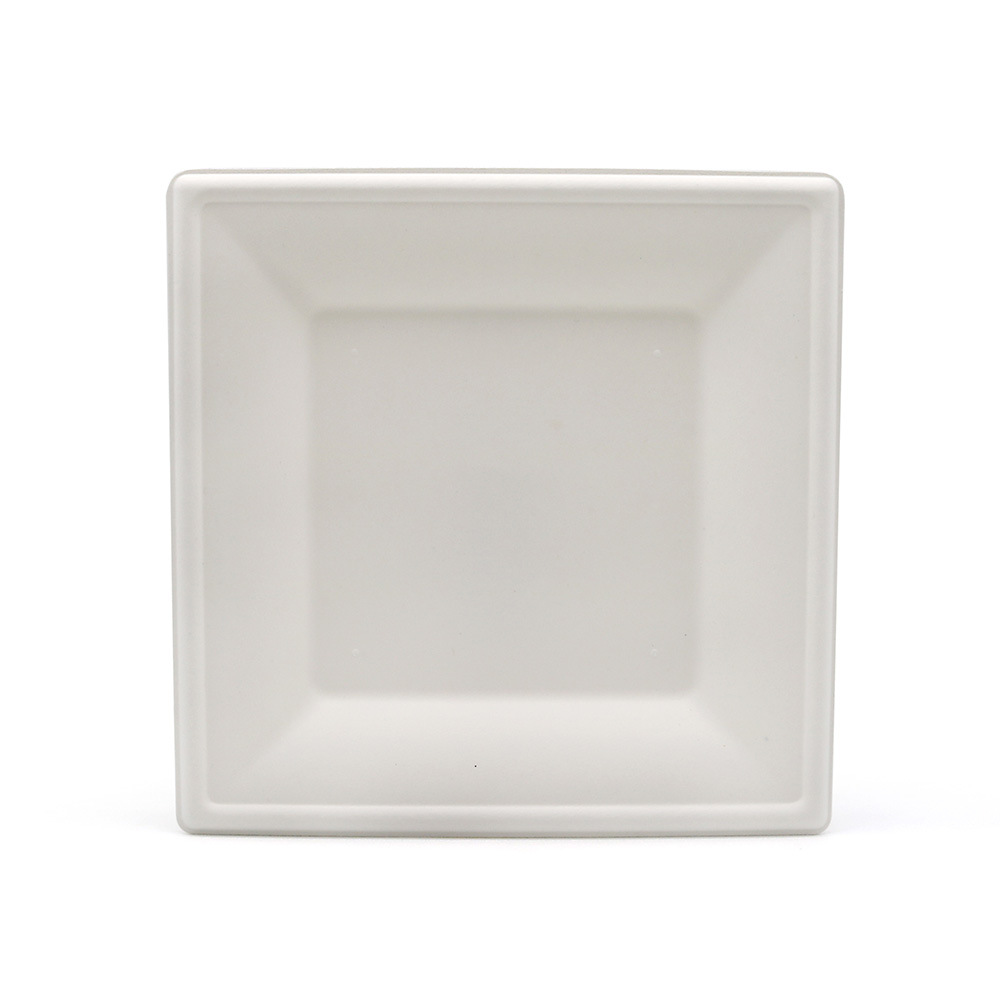 Disposable Paper Plates and Bowls, Sugarcane Juice, Biodegradable Outdoor Barbecue and Picnic Thick Plates