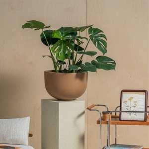 Macetas Grandes <span class=keywords><strong>de</strong></span> Fibra <span class=keywords><strong>de</strong></span> Cemento para Interiores y Exteriores con Orificio <span class=keywords><strong>de</strong></span> Drenaje para Exhibición <span class=keywords><strong>de</strong></span> Flores en el Hogar y el Jardín - Product Image 3