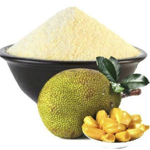 Poudre de jacquier vietnamienne d'exportation en vrac: Propre, pur, répondant aux spécifications de qualité alimentaire - Product Image 3