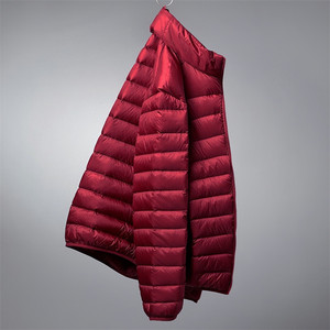 2024 automne hiver nouveaux hommes léger fermeture éclair à capuche compressible doudoune surdimensionné 5XL 6XL plaine teint manteaux XS taille - Product Image 1