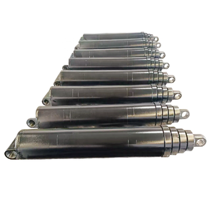 Cilindro Hidráulico Multietapa con Válvula de Retención Piloto Integrada, Previene la Colapso No Intencional Bajo Carga - Product Image 1