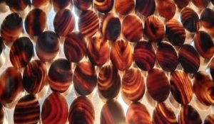 Chất Lượng Cao Cao Cấp Nút Khoảng Trống Trắng Trâu Xương Thể Thao Sừng Nút Cho Hàng May Mặc Trang Trí Có Thể Giặt Đánh Bóng Cho Ưa Thích - Product Image 4