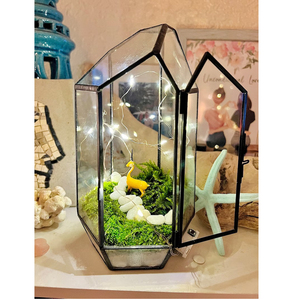 Verre clair enduit de poudre noire Terrarium en verre géométrique décoration de table bureau maison hôtel Terrarium décoratif taille personnalisée - Product Image 2