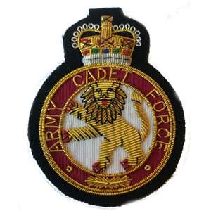 เสื้อเบลเซอร์ปักลายลวดแท่งสำหรับครอบครัวลอเรนเย็บติด - Product Image 2