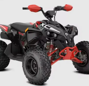 Buenos Descuentos para los Can-Am Renegade XXC650 2024 - Product Image 5