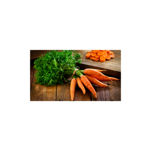 Zanahorias Frescas Premium disponibles para suministro a granel y exportación internacional - Product Image 3