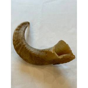 Cuerno de búfalo Cuernos para beber Cuerno para beber vikingo natural con soporte de Cuero al costo más bajo - Product Image 3