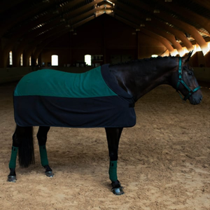 Tapis de cheval équestre de qualité supérieure imperméable et respirant avec conception personnalisée fournisseur de couverture de cheval tapis de cheval personnalisés - Product Image 2