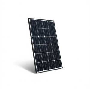 Panel Solar SpolarPV SPV690-TG12-132BD - Product Image 1