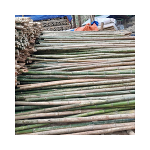 Poteaux de bambou solides et droits Poteau de bambou brut de nature traitée avec des prix compétitifs Vente en gros en vrac du Vietnam 99GD - Product Image 1