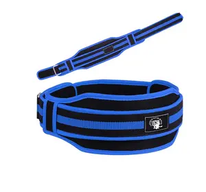 Néoprène de haute qualité, Fitness, Powerlifting, Gym, taille, accessoire de Fitness, entraîneur de puissance, ceinture d'haltérophilie personnalisée