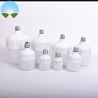 Vente en gros d'ampoules à DEL en forme de T à large gamme d'éclairage Corps en aluminium Ampoule à DEL 20W 6W 10W 15W 20W 30W Ampoules à DEL