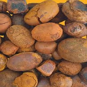 Dried Cow Gallstones / <b>Ox</b> Gallstones/ Cattle Gallstone - Product Image 5
