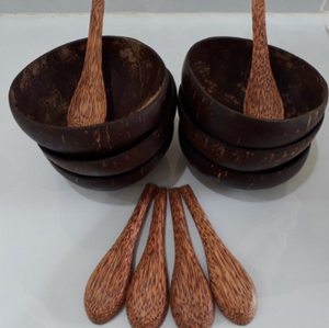 Tazón de cáscara de coco pulido para consumidores ecológicos y minoristas de utensilios de cocina hechos a mano - Product Image 1