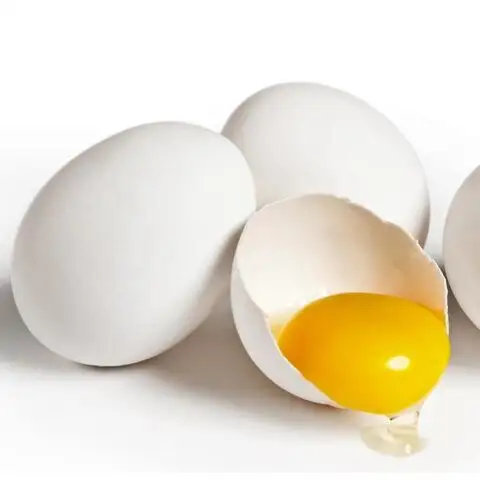 بيض طعام دجاج بني طازج مخصب عالي الجودة رخيص بيض طعام دجاج طازج بيض دجاج طازج بكميات كبيرة