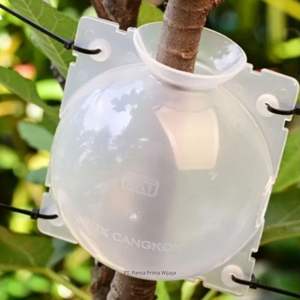 Maceta de Enraizamiento de Plantas Transparente de Plástico Moderno de Alta Calidad, Tamaño M, Reutilizable, para Injerto de Árboles y Propagación - Product Image 3