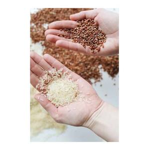 ข้าวเกรดพรีเมี่ยมสำหรับโรงแรมระดับ5ดาว, ข้าวบาสมาติกสีทอง - Product Image 5