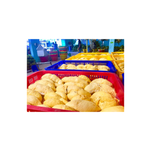 Morceaux de durian congelés en vrac du Vietnam emballés sous vide sans pépins naturel doux et crémeux qualité d'exportation adaptée - Product Image 1