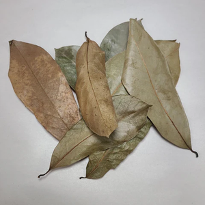 Produit de soins de santé en feuilles de corossol de qualité supérieure Meilleur prix pour les commandes en gros et OEM Produits agricoles - Product Image 1