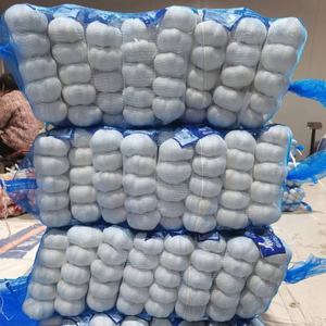 <span class=keywords><strong>Ajo</strong></span> Blanco Normal Fresco <span class=keywords><strong>de</strong></span> China, 10 kg/20 kg, Caja <span class=keywords><strong>de</strong></span> Exportación, Cumple con las Normas GAP, <span class=keywords><strong>Ajo</strong></span> Alho - Product Image 6