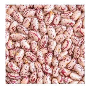 Venta al por mayor de frijoles rojos orgánicos moteados a granel - Product Image 6