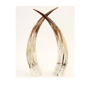 ถ้วยฮอร์นแกะสลักยุคกลางของแท้ทำด้วยมือแบบดั้งเดิมนักรบชนบทถ้วยดื่มดิบสำหรับงานเลี้ยงทุ่งหญ้า tankard รัก - Product Image 3