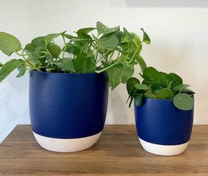 Pot de fleurs en céramique bleu bicolore classique, durable, décoratif pour intérieur, élégant et minimaliste, accent de style pour la maison - Product Image 2