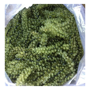 Uva marina seca, Caulerpa Lentilifera seca natural, uvas marinas deshidratadas, Caviar de algas marinas Umibudo naturales Superalimento para ensalada - Product Image 3