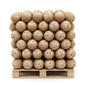 Noix de coco naturelles fraîches qualité d'exportation idéale pour les supermarchés, les restaurants et les fabricants d'aliments avec livraison rapide - Product Image 1