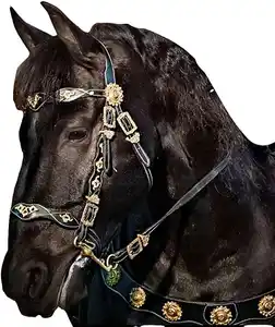 Western Baroque Horse Bridle & Breastplate abad pertengahan Horse Tack Drum Dyed Leather Friesian horse tack siap untuk dikirim