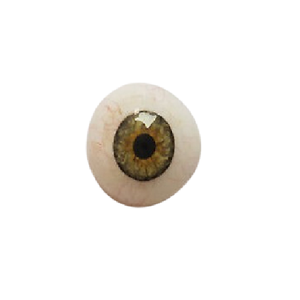 Prótesis de Ojo Artificial de Iris Verde Hecha a Medida para una Apariencia Natural y Rehabilitación Cosmética - Product Image 1