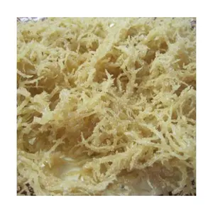 Rohstoffe aus Irish Sea Moss/Seetang Eucheuma Cottonii aus 99 Gold Data Vietnam