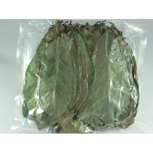 Feuilles de Graviola naturelles/Tisane de Guanabana/Thé Guyabano Feuilles de corossol séchées Thé du Vietnam - Product Image 6