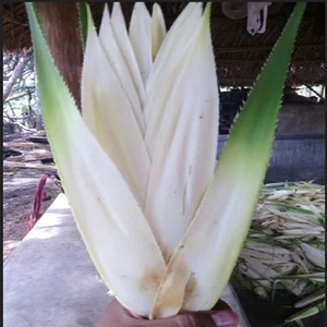 น้ำมันหอมระเหยเกรดอาหารธรรมชาติและบริสุทธิ์จาก100% อินเดีย - Product Image 3