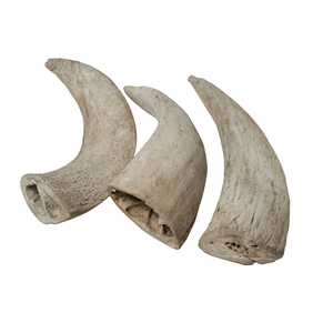 Núcleo de Cuerno de Búfalo Más Vendido para Masticar para Perros, Alimento Natural Redondeado de Calcio, Hueso de Golosina para Animales, Hecho en India por MULTI CRAFT - Product Image 6