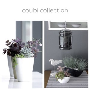 COUBI ORQUÍDEA 1.5L. maceta, dimensiones (mm) 132x132x160, color Blanco - Product Image 2