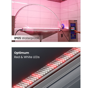 HONGYI R4-R9 150W <span class=keywords><strong>LED</strong></span> lumière à spectre réglable IP65 pour application Bloom add-on indépendant à tout spectre Planta De Luz - Product Image 6