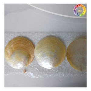 Cuillère en nacre gravée, logo personnalisé, coquillages en nacre naturelle blanche, luxe - Product Image 2