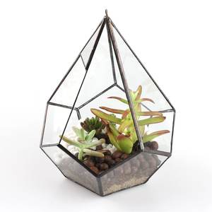 Exquisite Modern Black <b>Glass</b> Metal Terrarium for Indoor Plants Eco-Friendly Handmade Wedding Home Office Decor Attractive - Product Image 5