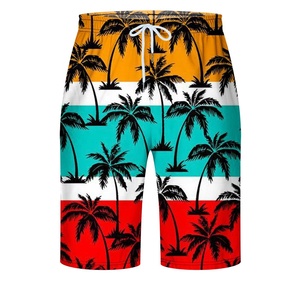 Shorts à taille élastique pour hommes Shorts décontractés Hommes Polyester Running Sport Baseball Shorts Homme Vêtements de plage d'été - Product Image 2