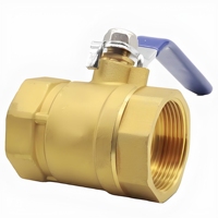 Vanne à boisseau sphérique en laiton DN65 BSP à filetage femelle, manuelle, pour eau, OEM, pression 16 kg, personnalisable pour applications CVC, incendie et chimiques