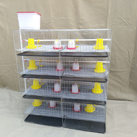 Ferme d'élevage de poulets automatique au design moderne à 3-4 niveaux Cage de batterie pour poussins d'un jour à prix abordable