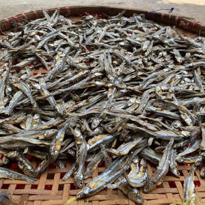 ANCHOIS SÉCHÉS DE QUALITÉ SUPÉRIEURE/APPROVISIONNEMENT EN GROS/PRINCIPALES VENTES FRUITS DE MER DE QUALITÉ D'EXPORTATION/PRODUIT D'AFFAIRE CHAUDE - Product Image 4